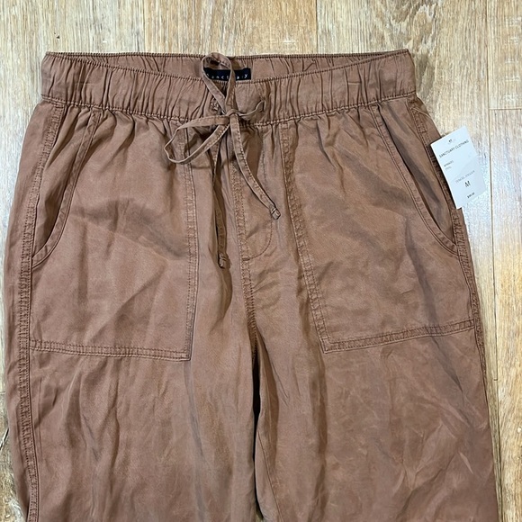 NWT Sanctuary Tencel Joggers in Praline Women's Medium M New Pants Brown Pockets - Picture 3 of 15